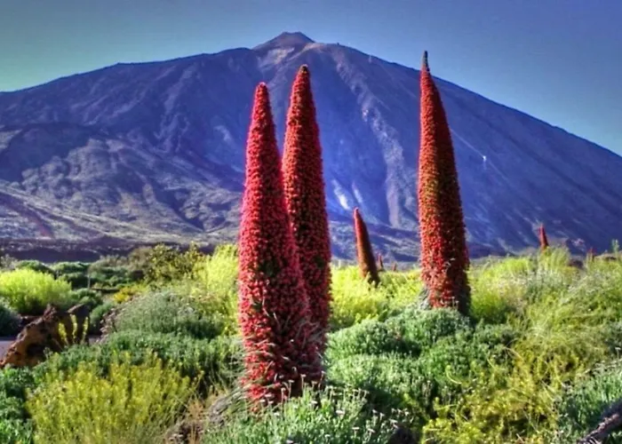 New Vip Piscina Y Gimnasio Apartment *