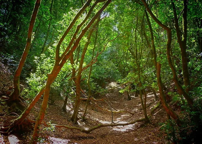 New Vip Piscina Y Gimnasio