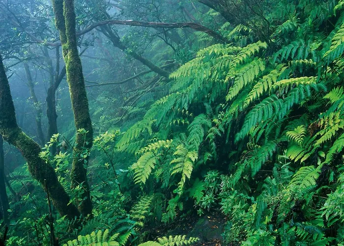 New Vip Piscina Y Gimnasio *